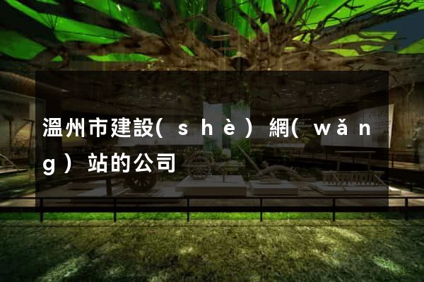 溫州市建設(shè)網(wǎng)站的公司