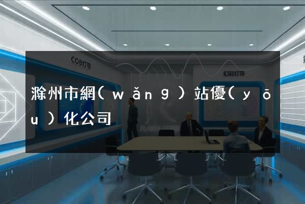 滁州市網(wǎng)站優(yōu)化公司