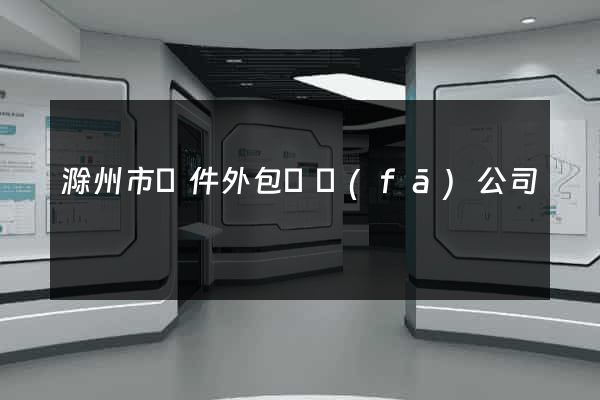滁州市軟件外包開發(fā)公司