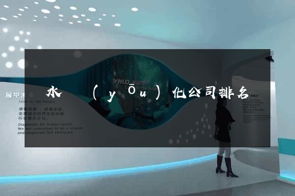 漣水縣優(yōu)化公司排名