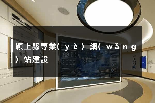 潁上縣專業(yè)網(wǎng)站建設