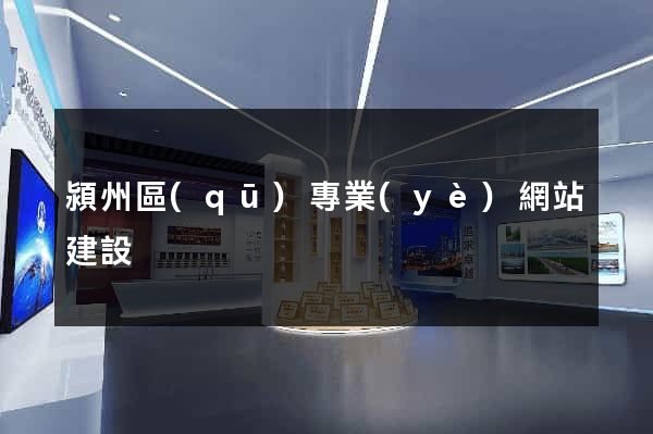 潁州區(qū)專業(yè)網站建設