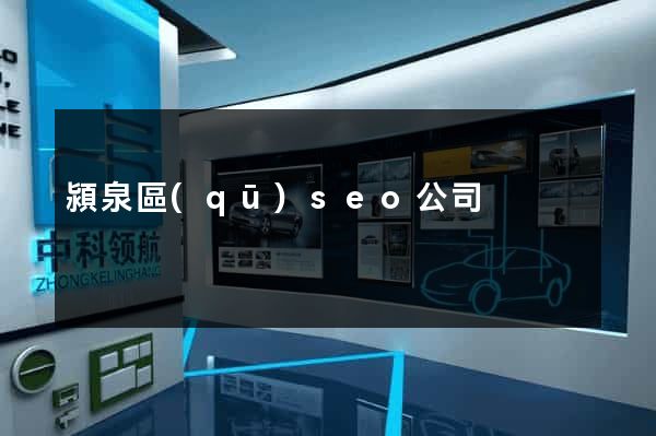 潁泉區(qū)seo公司