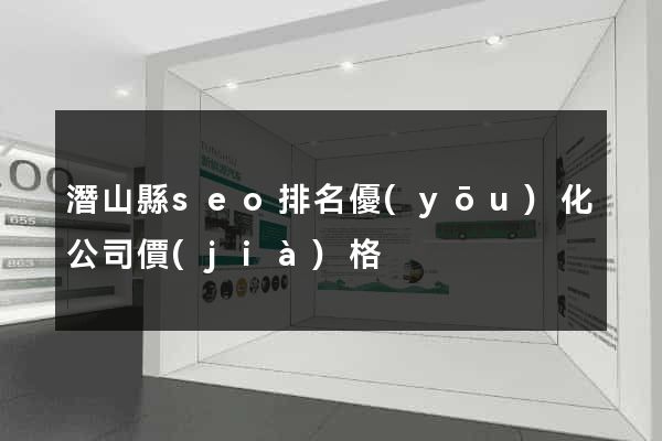 潛山縣seo排名優(yōu)化公司價(jià)格