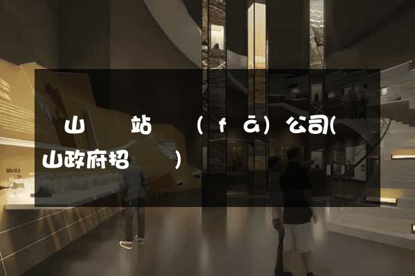 潛山縣網站開發(fā)公司(潛山政府招標網)