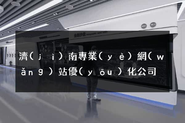 濟(jì)南專業(yè)網(wǎng)站優(yōu)化公司