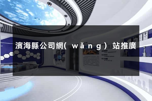 濱海縣公司網(wǎng)站推廣