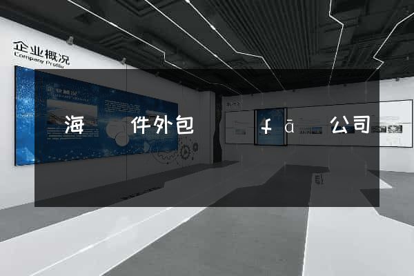 濱海縣軟件外包開發(fā)公司