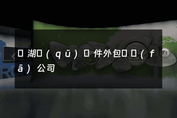 濱湖區(qū)軟件外包開發(fā)公司