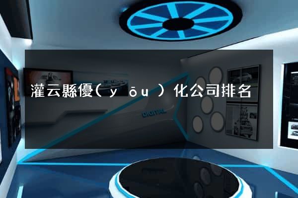 灌云縣優(yōu)化公司排名
