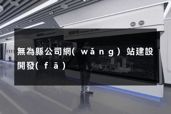 無為縣公司網(wǎng)站建設開發(fā)