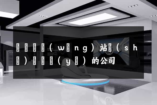 無為縣網(wǎng)站設(shè)計專業(yè)的公司