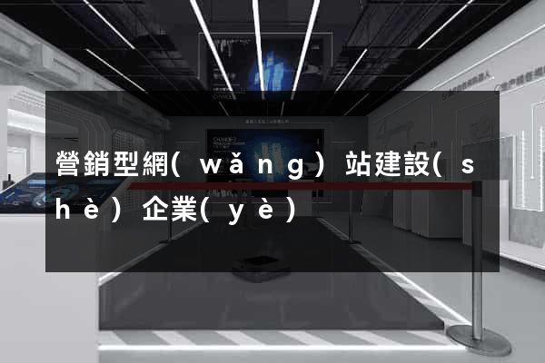 營銷型網(wǎng)站建設(shè)企業(yè)