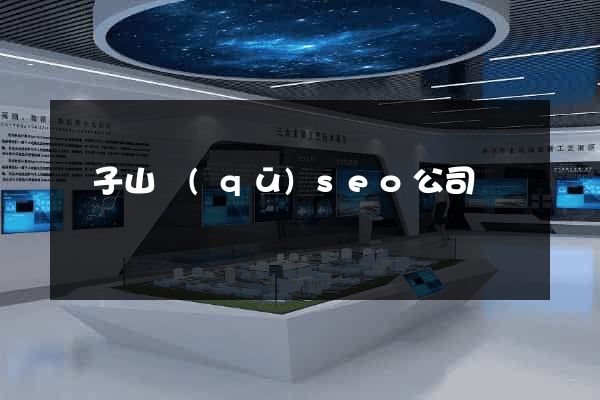 獅子山區(qū)seo公司
