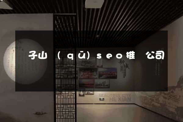 獅子山區(qū)seo推廣公司
