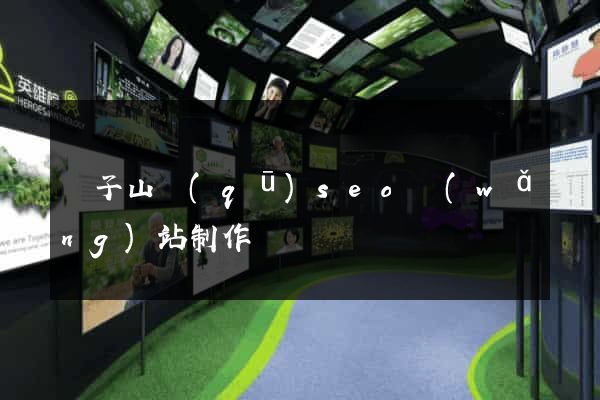 獅子山區(qū)seo網(wǎng)站制作
