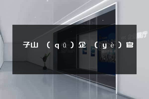 獅子山區(qū)企業(yè)官網設計