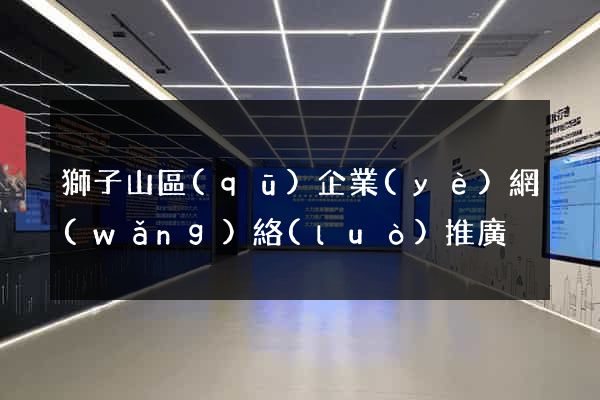 獅子山區(qū)企業(yè)網(wǎng)絡(luò)推廣