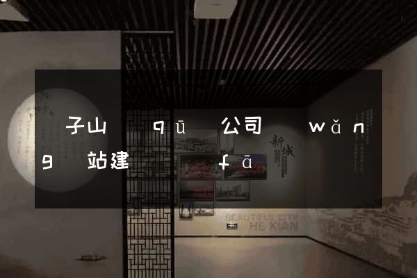 獅子山區(qū)公司網(wǎng)站建設開發(fā)
