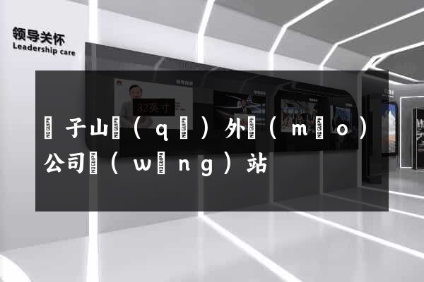 獅子山區(qū)外貿(mào)公司網(wǎng)站