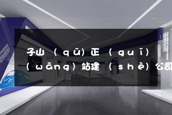 獅子山區(qū)正規(guī)網(wǎng)站建設(shè)公司