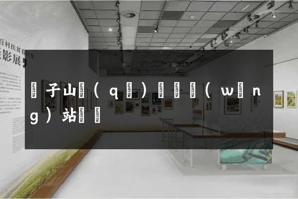 獅子山區(qū)營銷網(wǎng)站設計