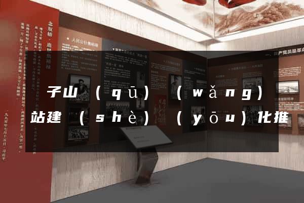 獅子山區(qū)網(wǎng)站建設(shè)優(yōu)化推廣