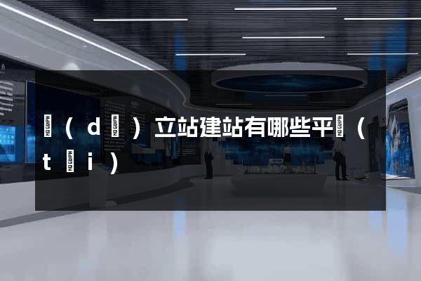 獨(dú)立站建站有哪些平臺(tái)
