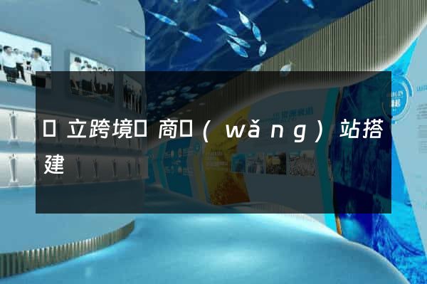 獨立跨境電商網(wǎng)站搭建