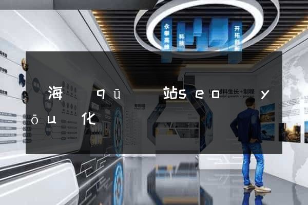 瑤海區(qū)網站seo優(yōu)化