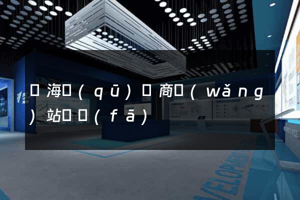 瑤海區(qū)電商網(wǎng)站開發(fā)