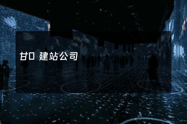 甘肅建站公司