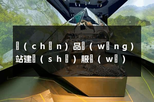產(chǎn)品網(wǎng)站建設(shè)服務(wù)