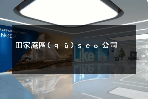 田家庵區(qū)seo公司