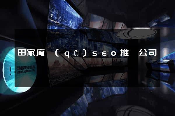 田家庵區(qū)seo推廣公司