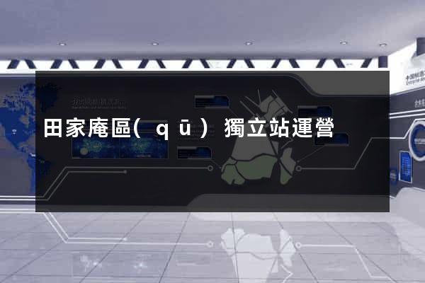 田家庵區(qū)獨立站運營