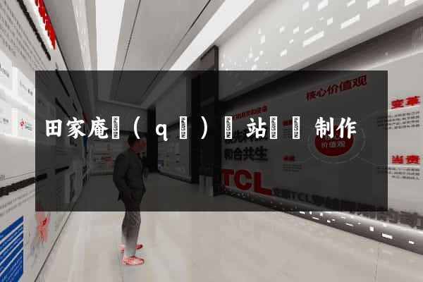 田家庵區(qū)網站設計制作