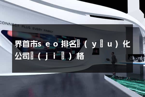 界首市seo排名優(yōu)化公司價(jià)格
