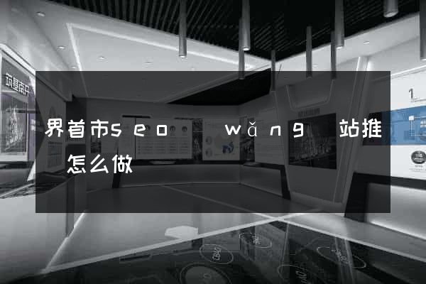 界首市seo網(wǎng)站推廣怎么做