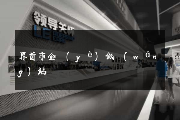 界首市企業(yè)做網(wǎng)站