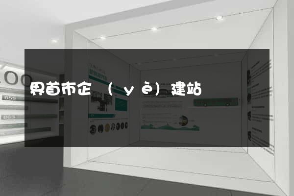 界首市企業(yè)建站