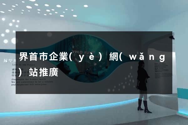 界首市企業(yè)網(wǎng)站推廣