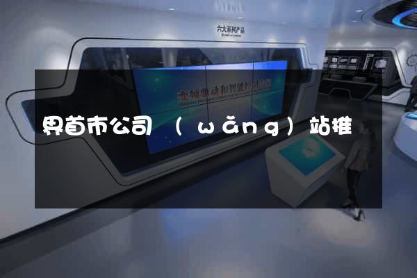 界首市公司網(wǎng)站推廣