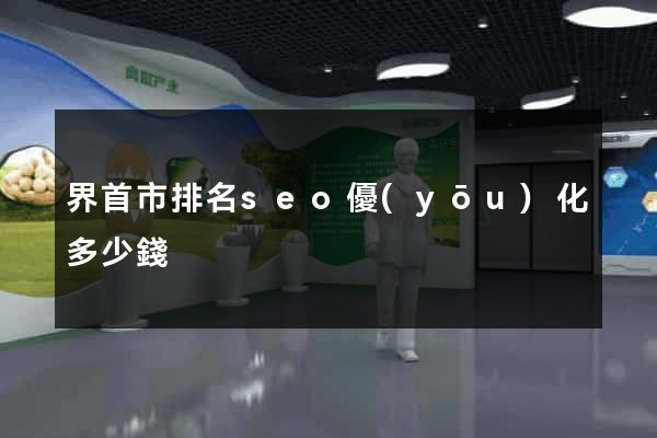 界首市排名seo優(yōu)化多少錢