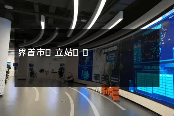 界首市獨立站運營