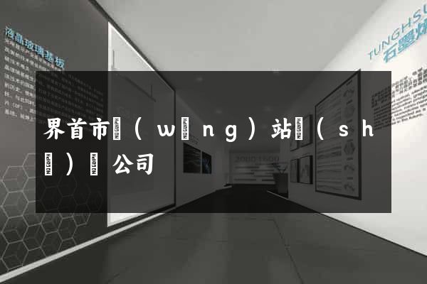 界首市網(wǎng)站設(shè)計公司