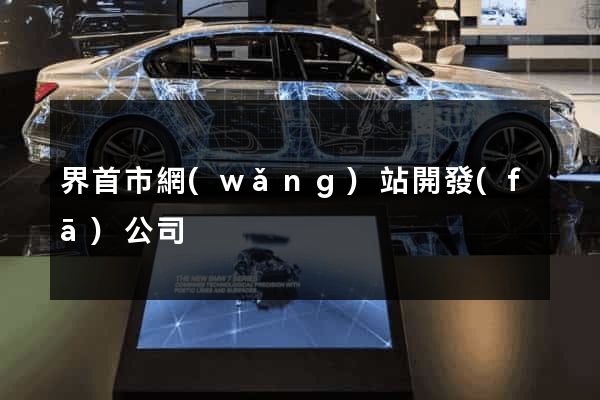 界首市網(wǎng)站開發(fā)公司