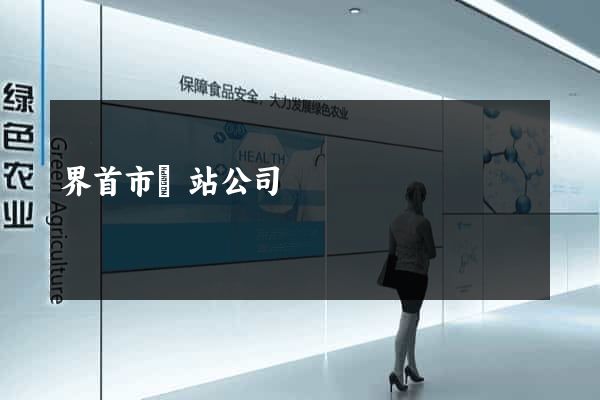界首市網站公司