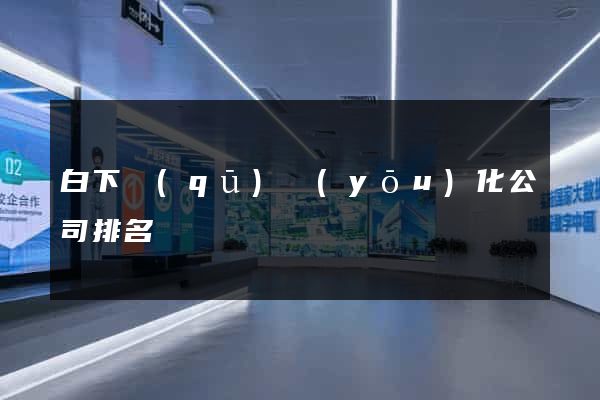 白下區(qū)優(yōu)化公司排名