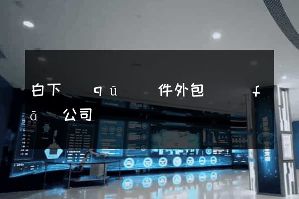 白下區(qū)軟件外包開發(fā)公司